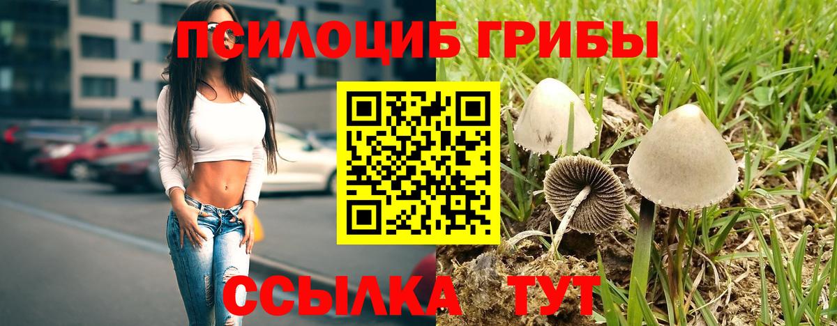 Королёв  Галлюциногенные грибы GOLDEN TEACHER  Вход с VPN  Галлюциногенные грибы мицелий 